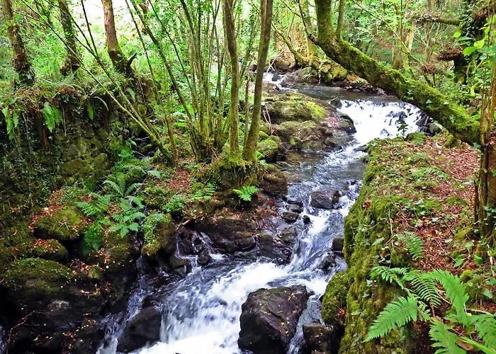 A Pasada Летний дом *